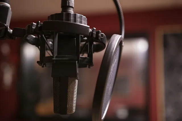 podcast, music, studio, microphone, radio, listening, audio, mp3, media, digital, sound, recording, communication, podcast, podcast, podcast, podcast, podcast, radio. Gebuchte Host-Reads nachvollziehbar dokumentieren
