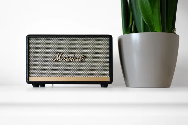 A sleek Marshall speaker beside a modern potted plant on a minimalist surface, highlighting a blend of technology and nature decor. Markenumfelder bei Audio-Werbung