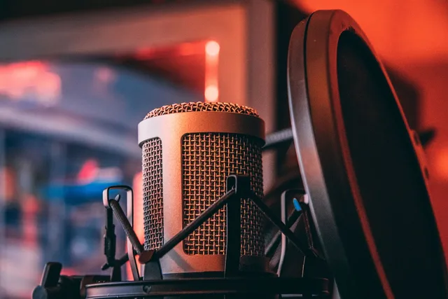 microphone, voice, sound, equipment, tool, performer, entertainment, microphone, microphone, microphone, microphone, microphone, voice, sound. Audio-Reaktionen über Codes und Zielseiten getrennt erfassen